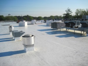 Bi Lo Fort O Commercial Roofing Project          